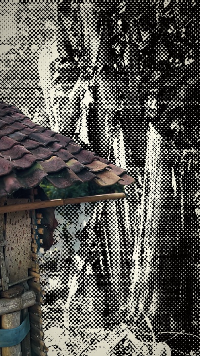 MONTAGEM RUGADA 
