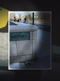 湯島聖堂 写真19枚