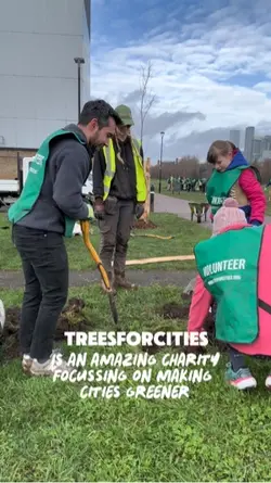 Tree planting