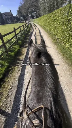 equestrian tenplate