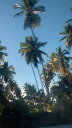 ¿Vamos a la playa?