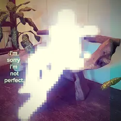 Sorry im not perfect