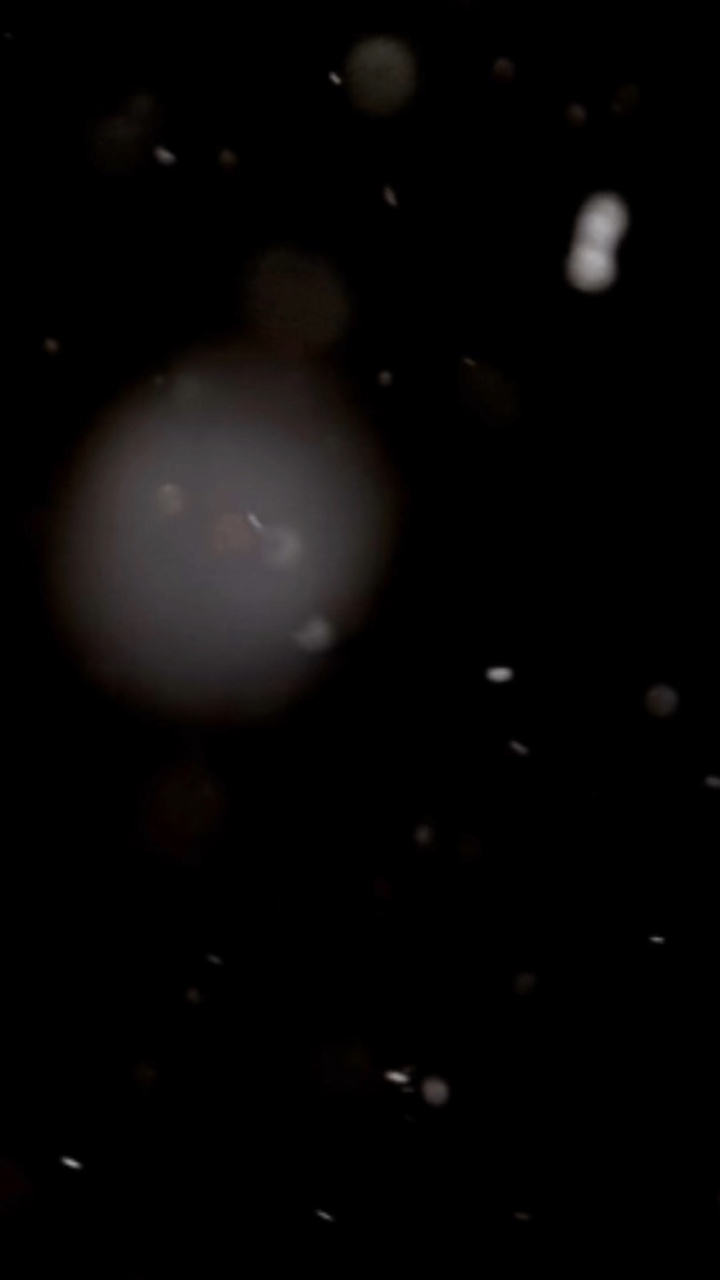 Kikilo បឿក ឆូតឌីស បឿក 😂