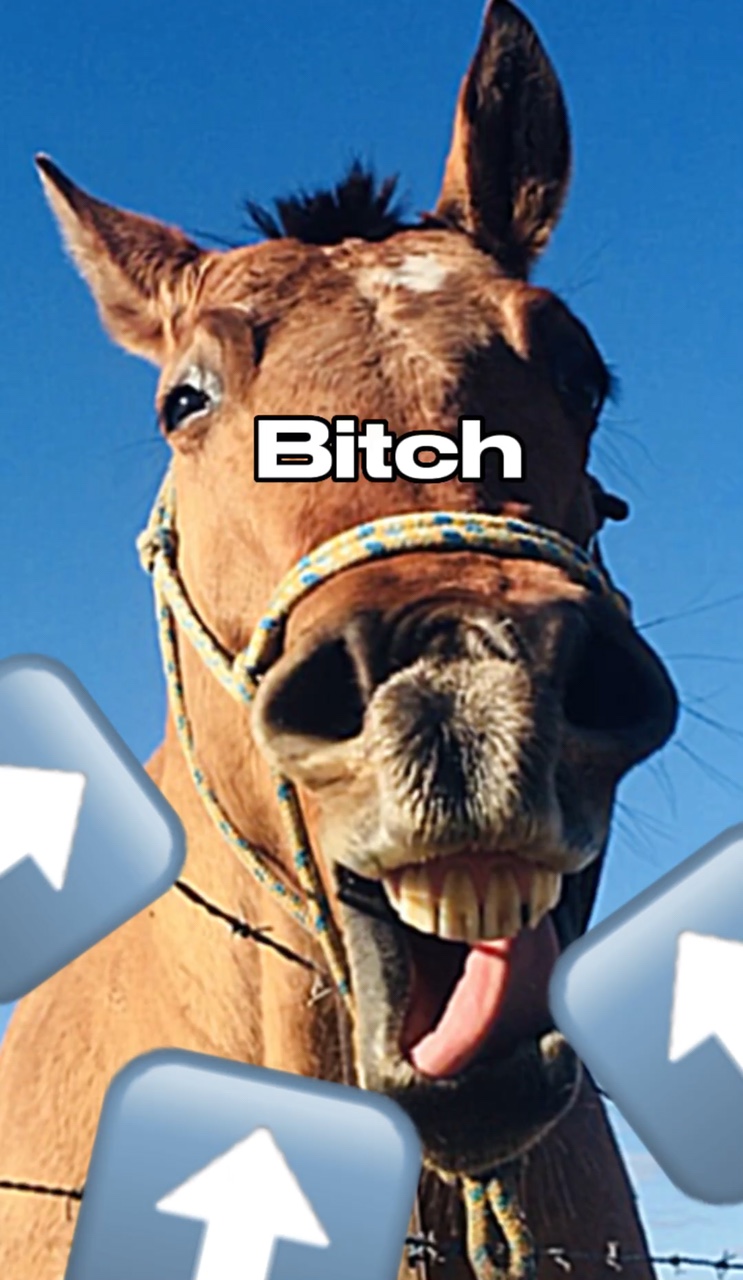 Dis bish right here!