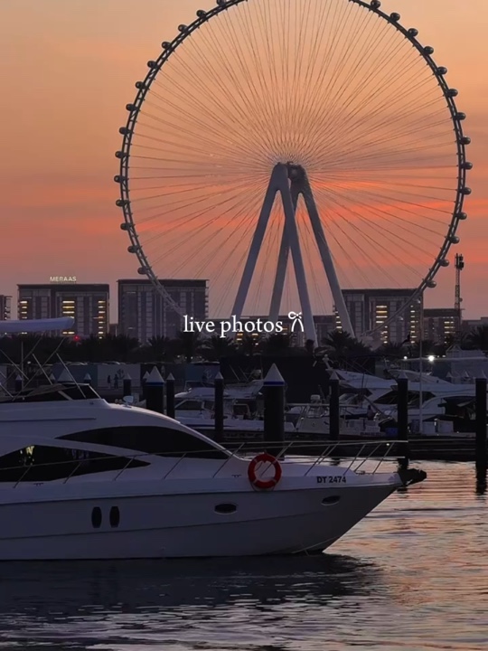 live photos