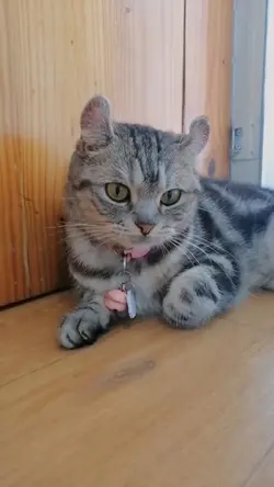 ไม่อยากไปทำงานเลยอะ