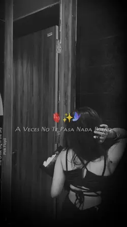 Escuché esta frase 