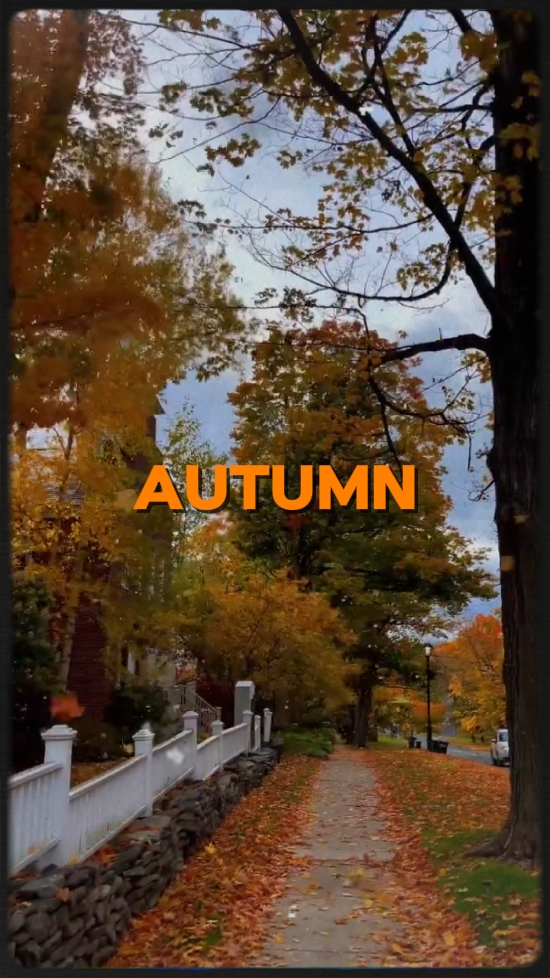 Autumn