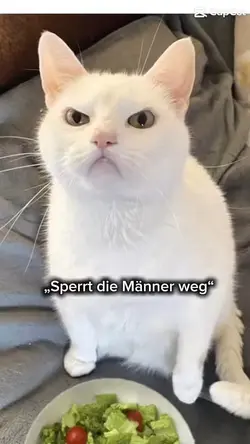 Ikimel