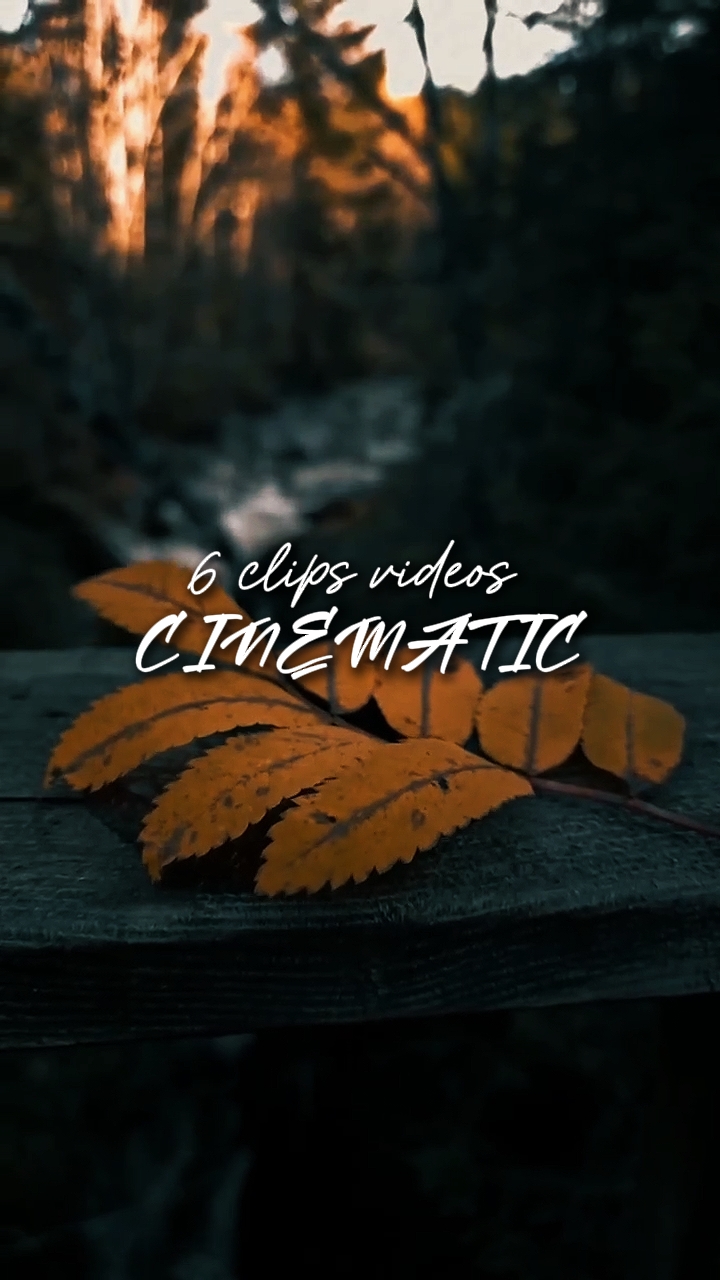 6 videoclipes 