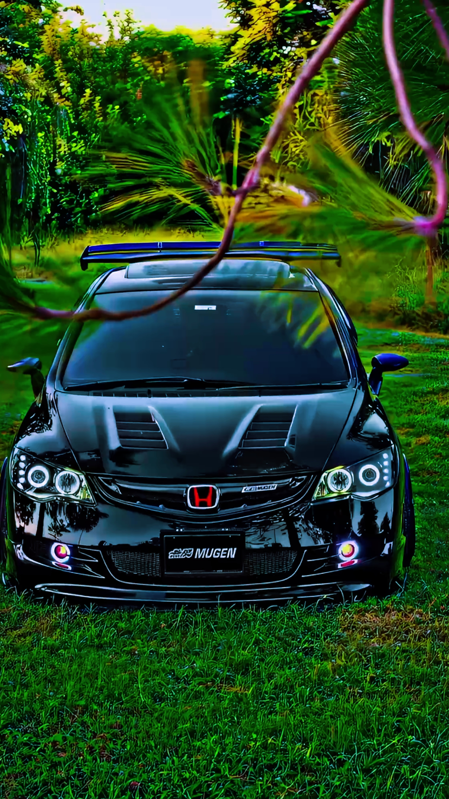 Plantilla de calidad 4k 
