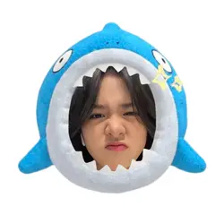 icon shark frame