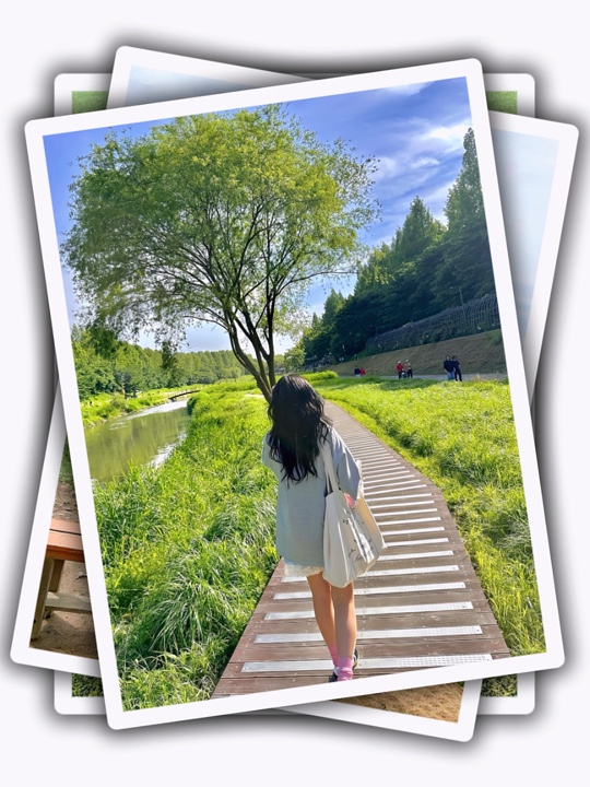 9Pic Clip Transition