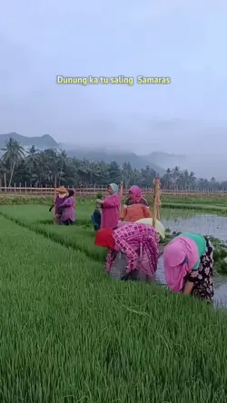 Lagu Sumbawa