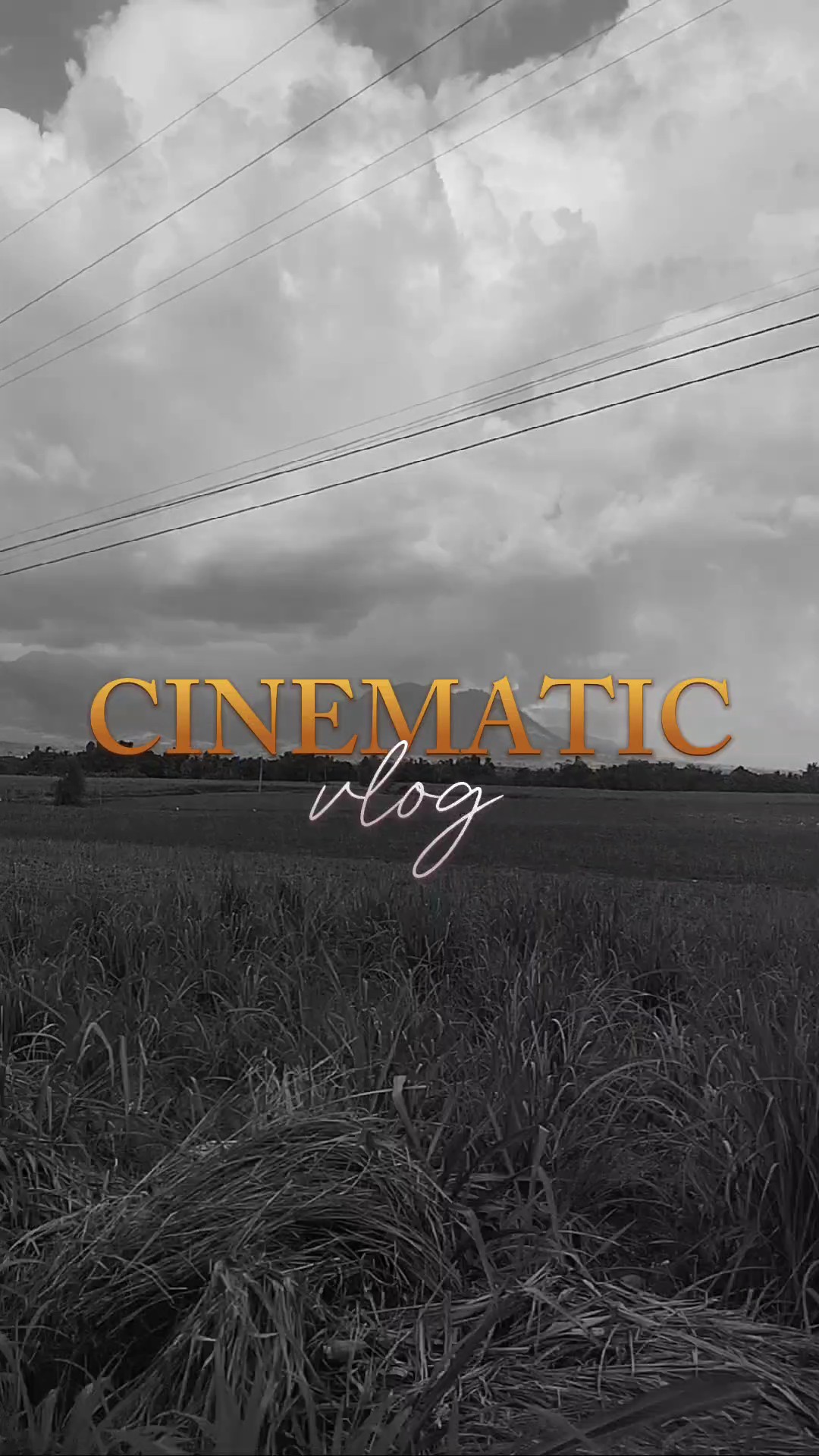 CINEMATIC | NATURE