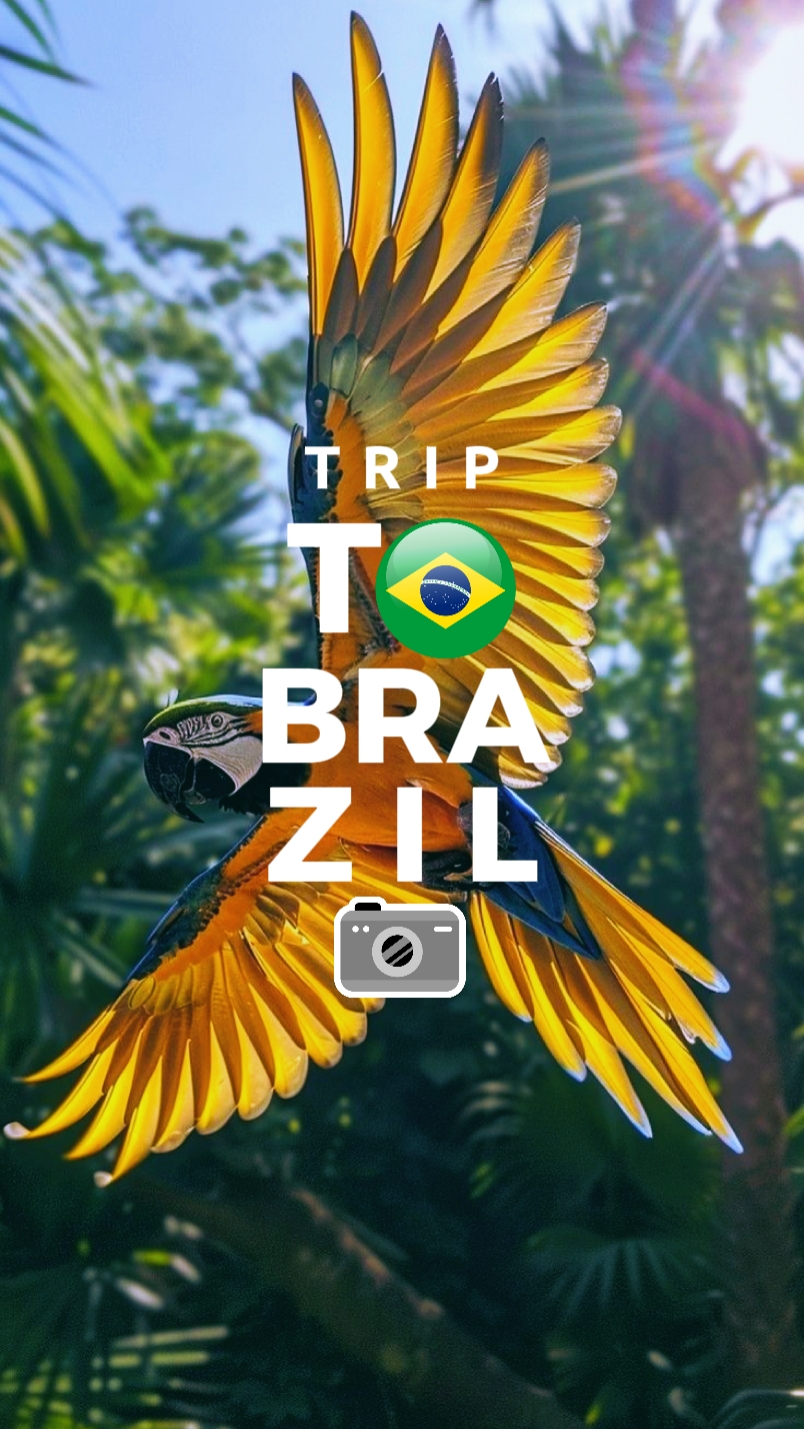 Trip To Brazil