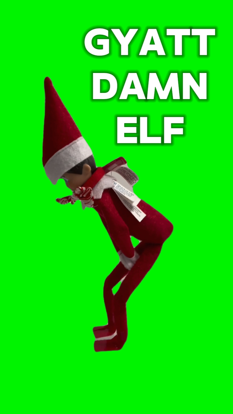 Elf got shelf