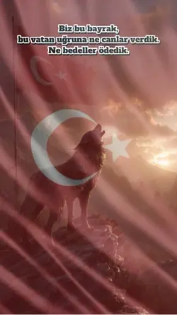 Türk bayrağı