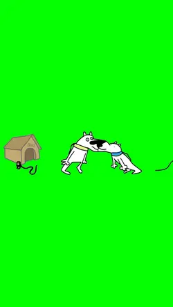 Funny dog meme video