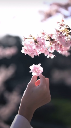 6 simple video clips