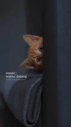 Tak kan tergsnti