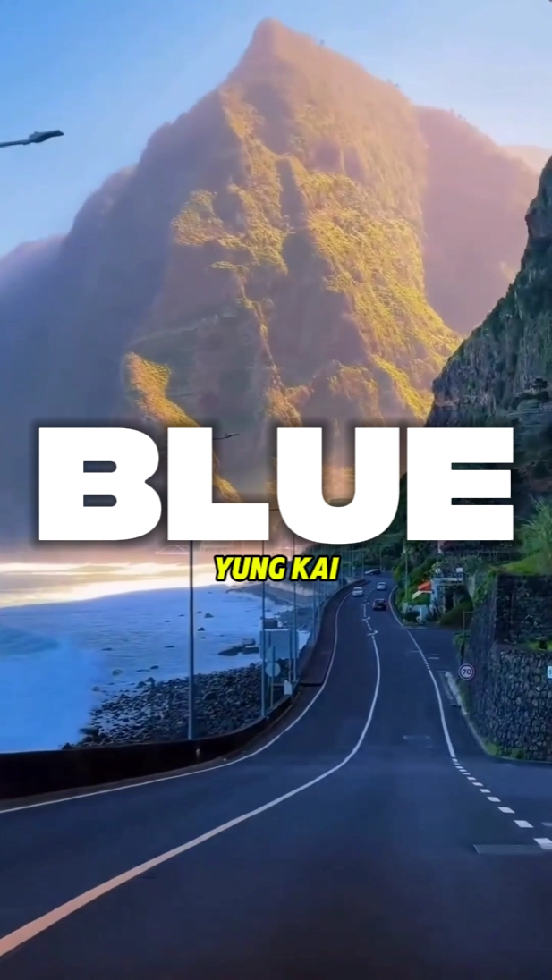 Mini Vlog bleu