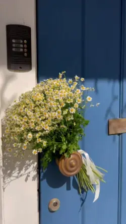 beautiful flower 