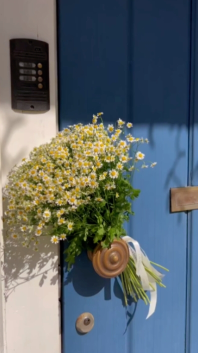 beautiful flower 