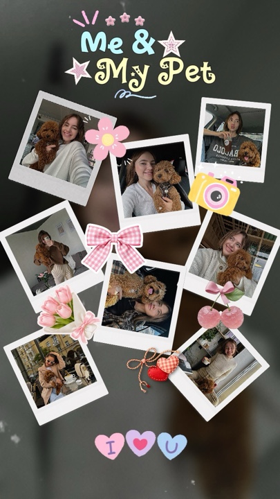 Me & Pet