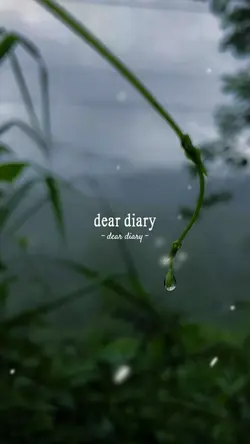 Dear diary