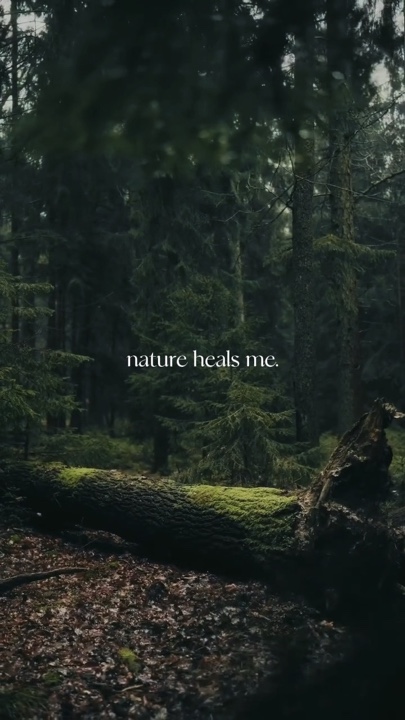 NATURE 2 VIDEOS