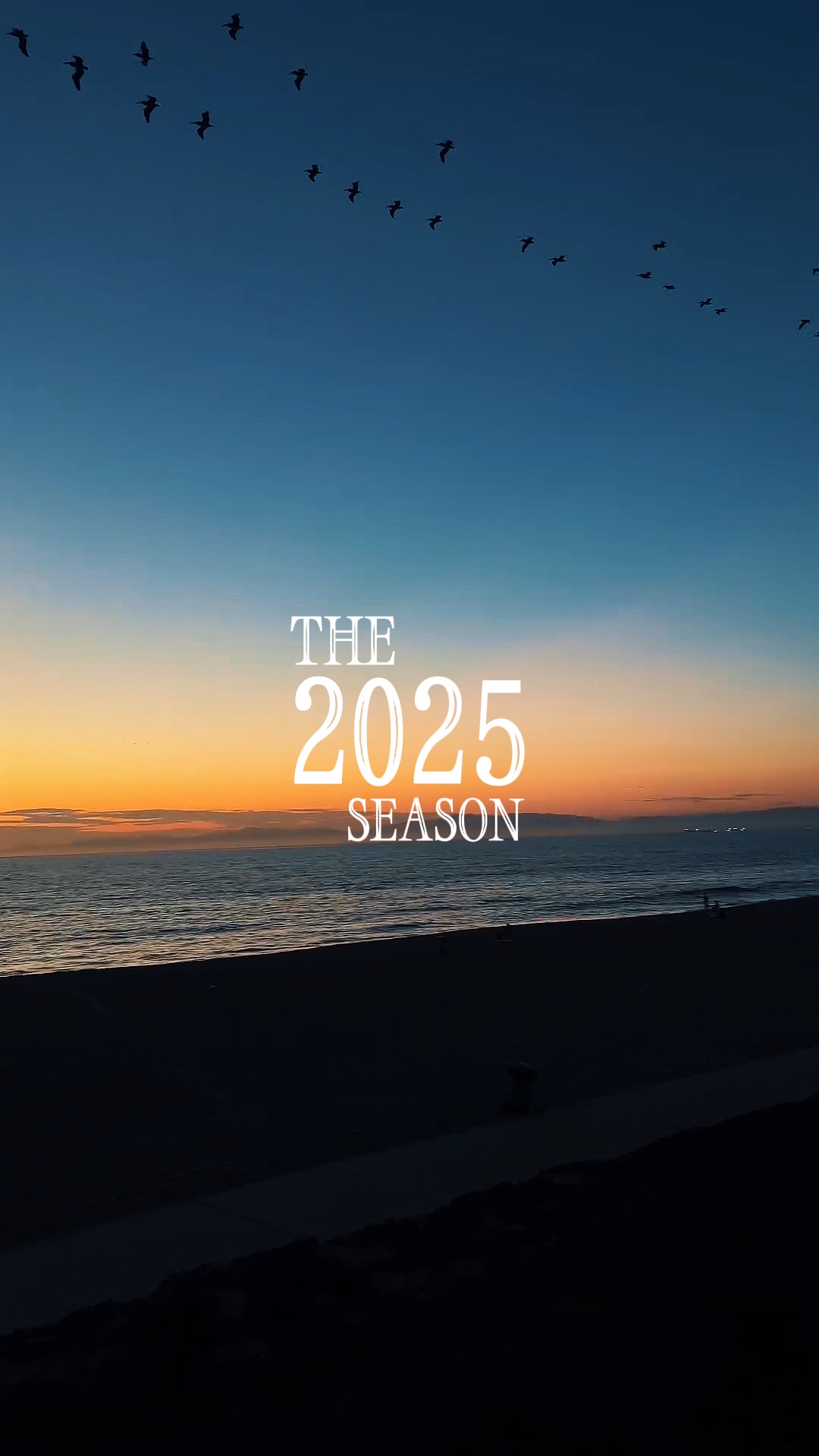 2025 season