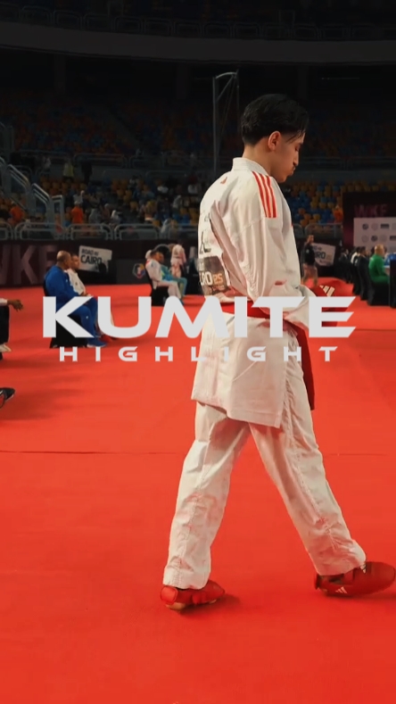 Sorotan Kumite