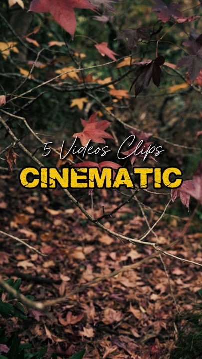 Cinematic 5 Videos 