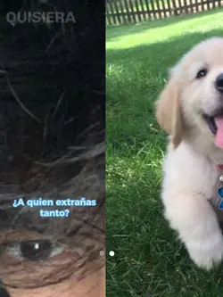A quien extrañas?
