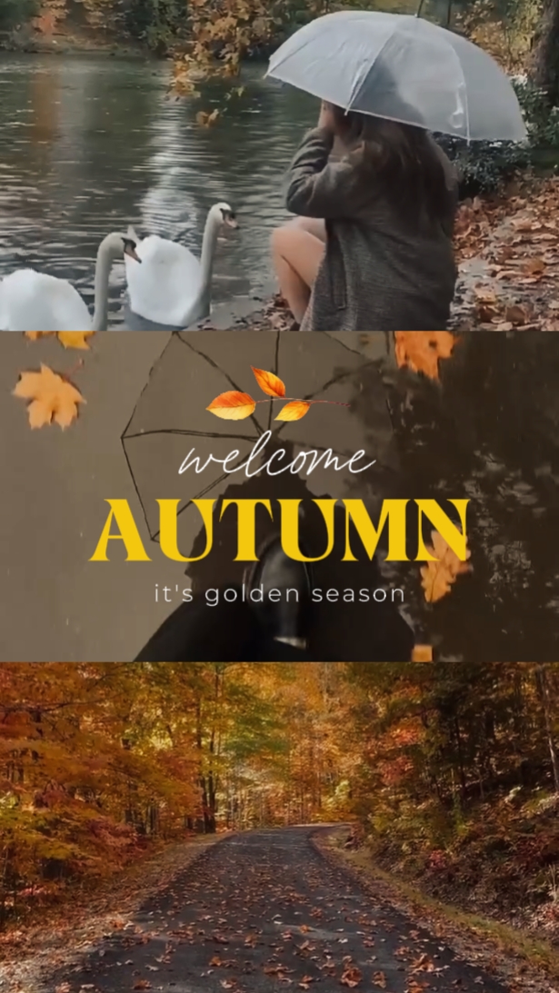 Bienvenido Otoño