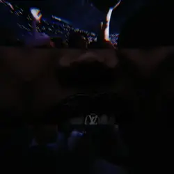 Flow Edit Rottweiler