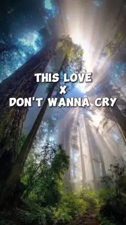 3 ảnh nhẹ nhàng 