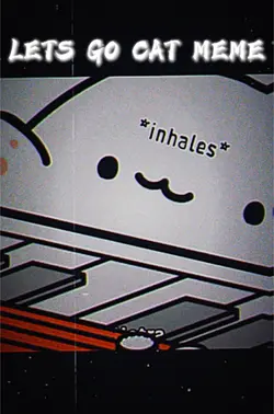 Lets go cat meme