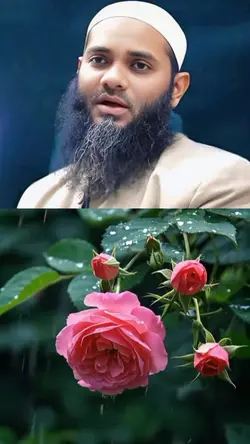 মোহাম্মদ আবুল খায়ের 