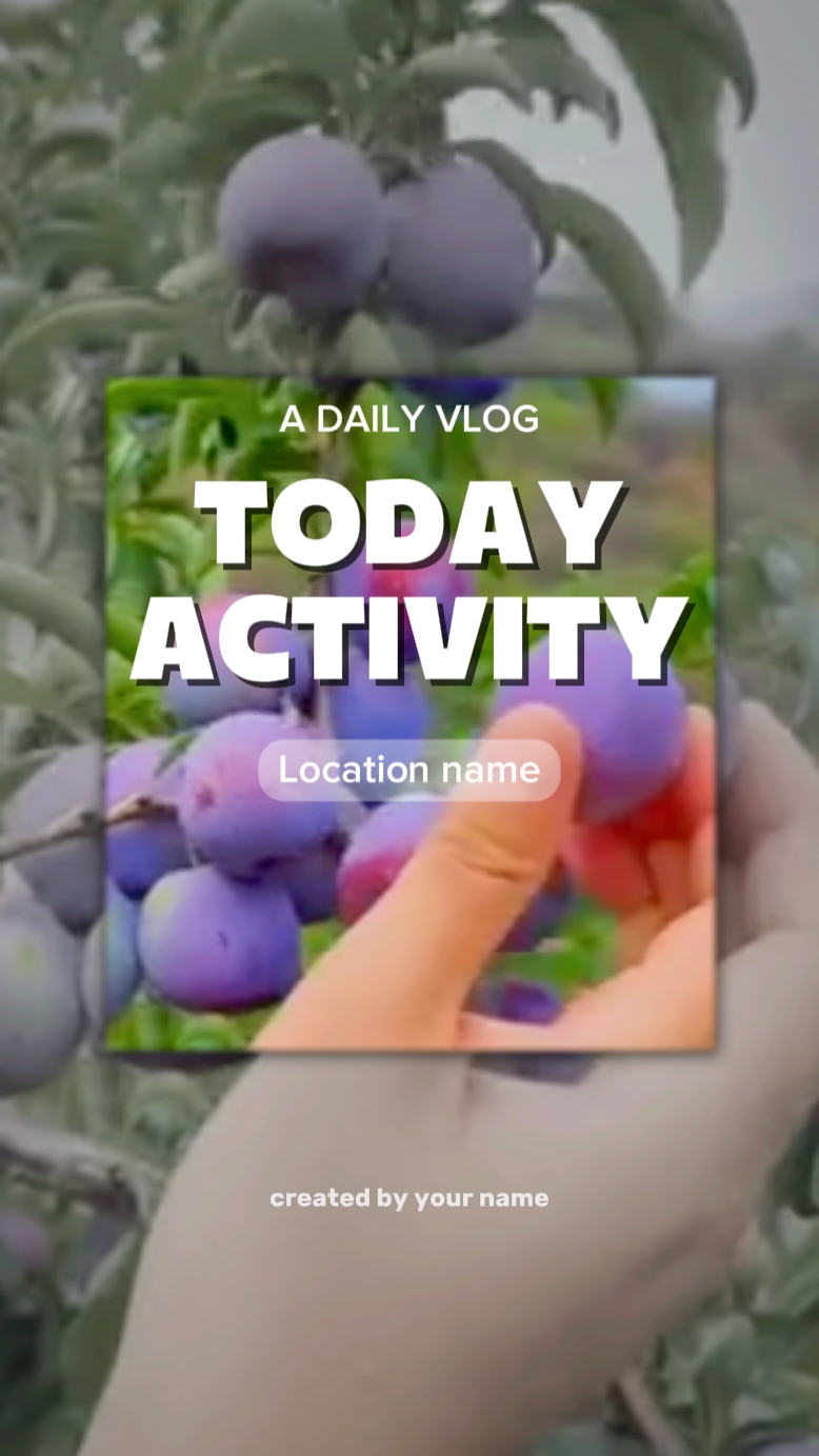 Actividad de Hoy