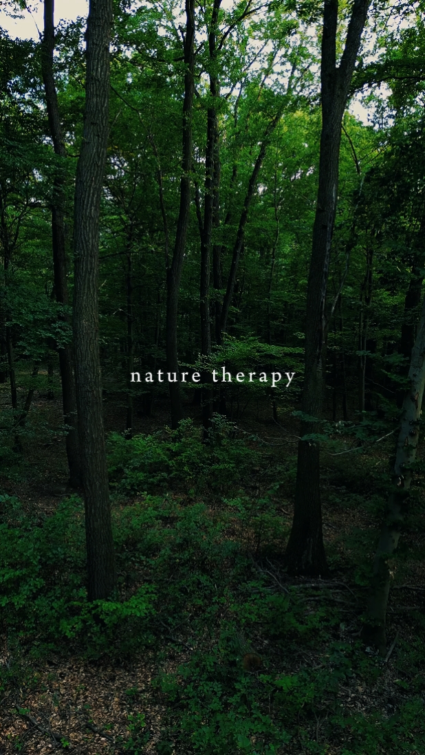 Nature Therapy 