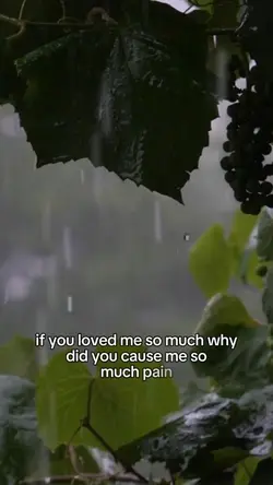 The pain you caused