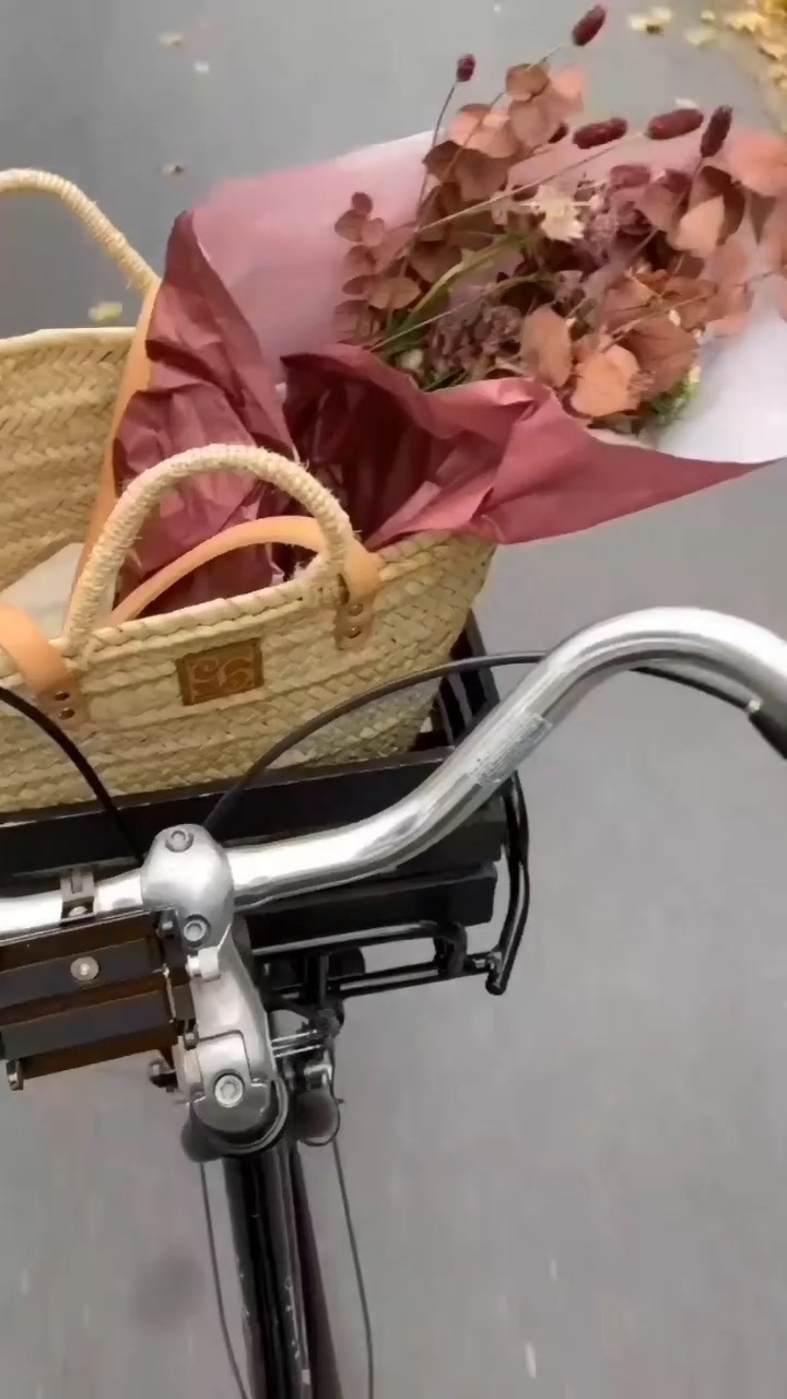 Vlog engraçado estético