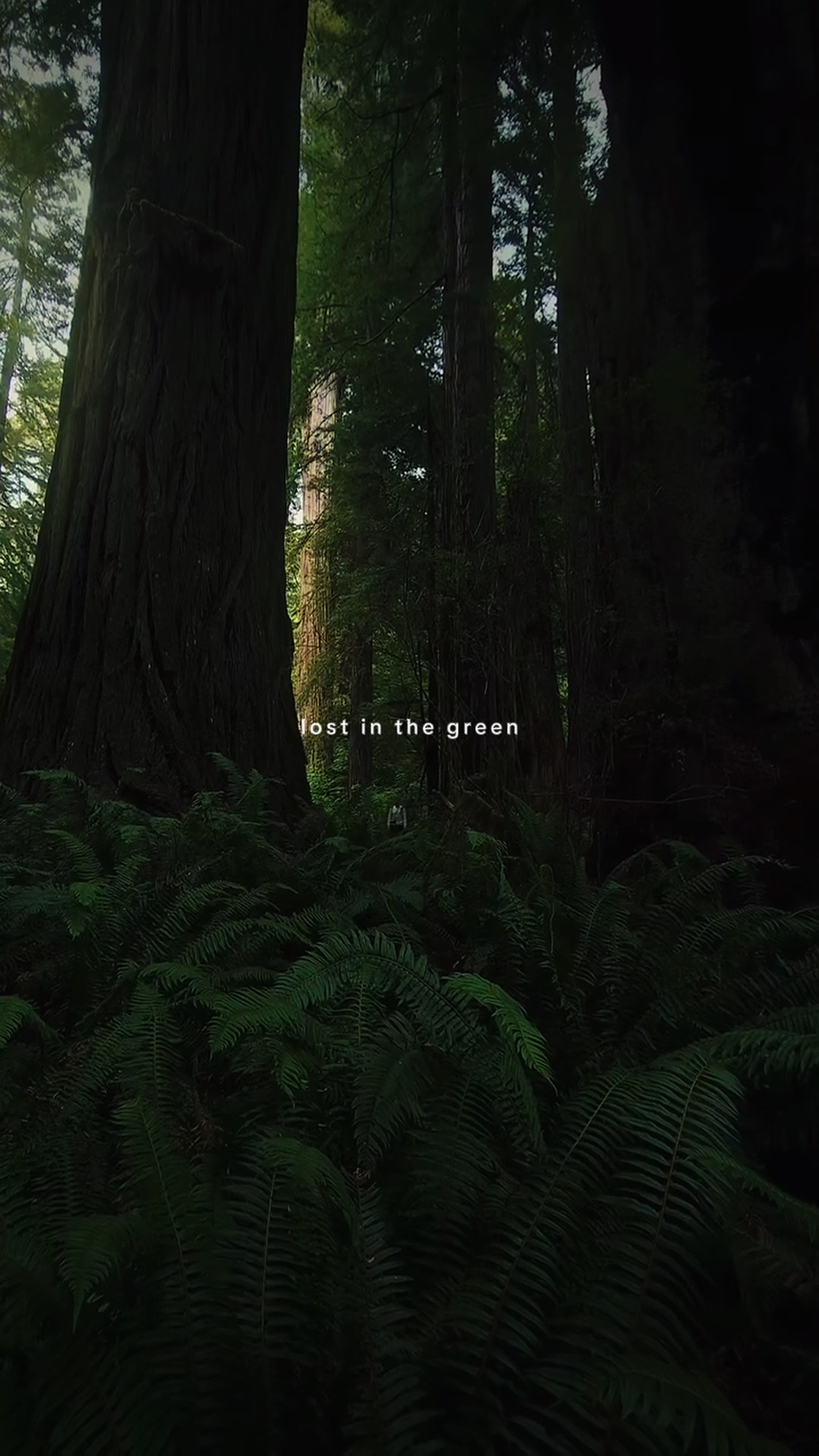 Lost in the green