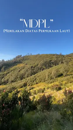 MDPL GUNUNG 🌳