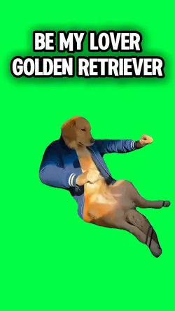 BE MY LOVER DOG