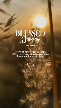 Blessed Sunday 🤍