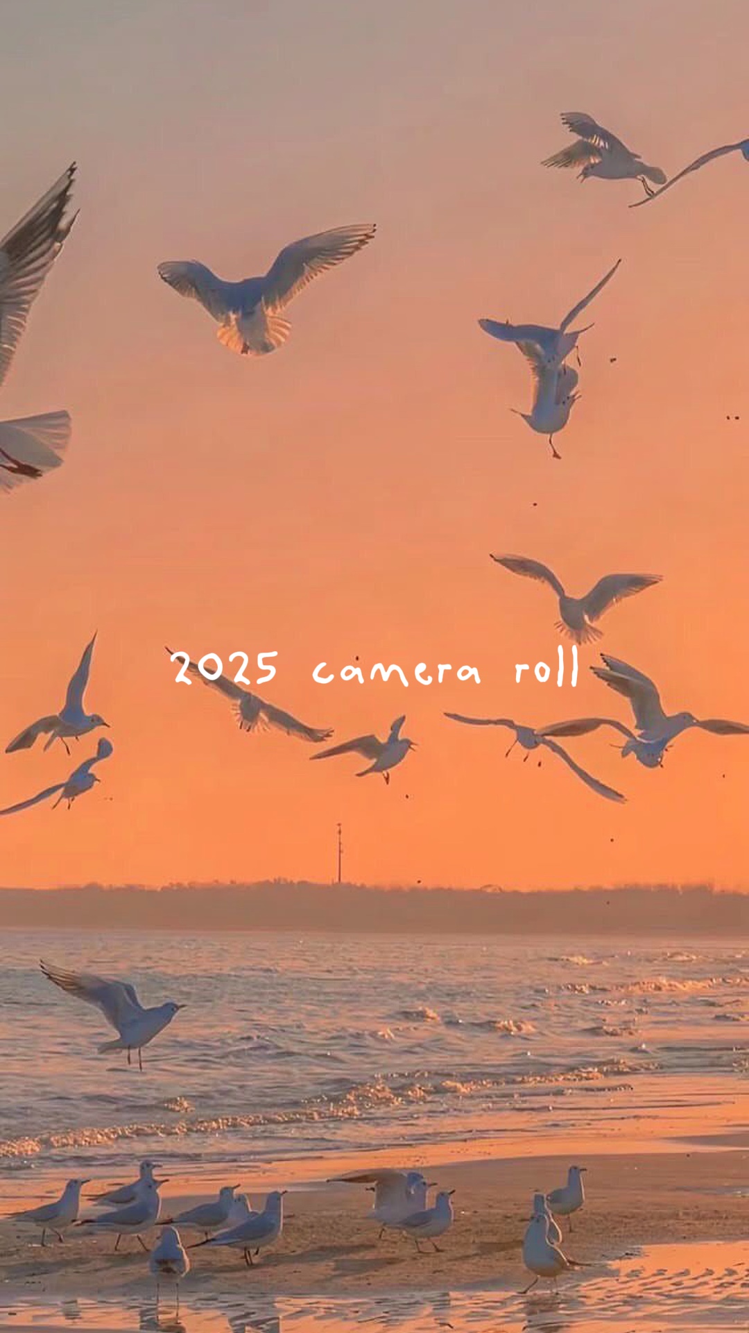2025 Kamerarolle