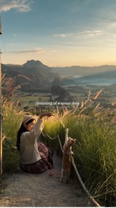 Dreaming 
